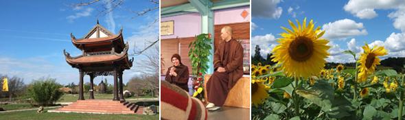 Plum Village montage