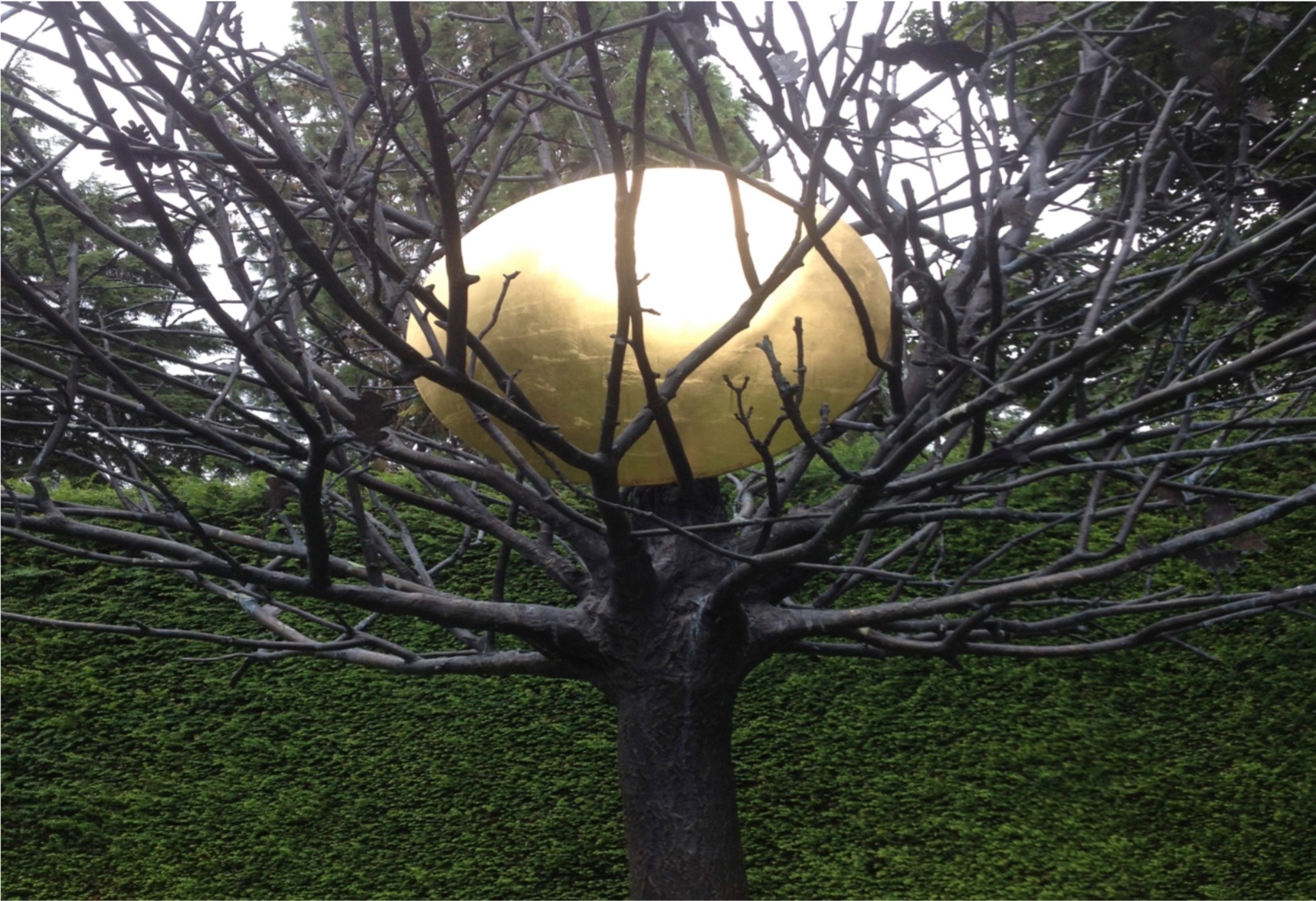 goldern_egg