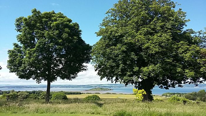 19143296_10155367020938718_8385325915343419942_o