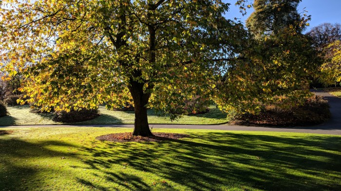 IMG_20171027_110251 (1)