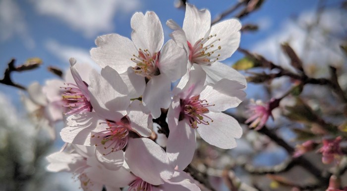 Maker:S,Date:2017-9-1,Ver:6,Lens:Kan03,Act:Lar02,E-Y