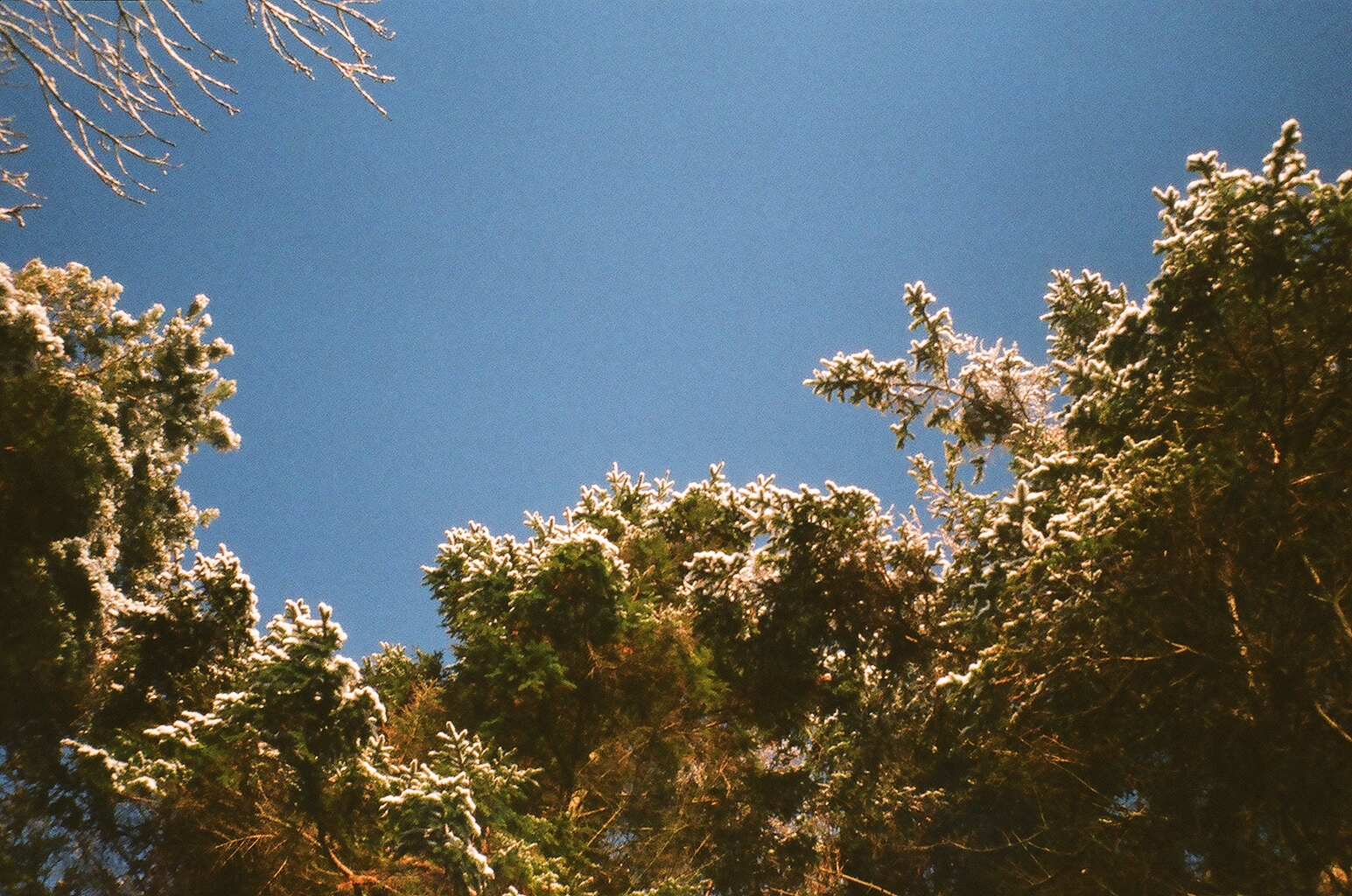 4406722662_738501418a_o