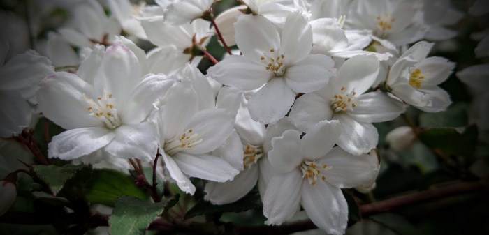 Maker:S,Date:2017-9-1,Ver:6,Lens:Kan03,Act:Lar02,E-Y