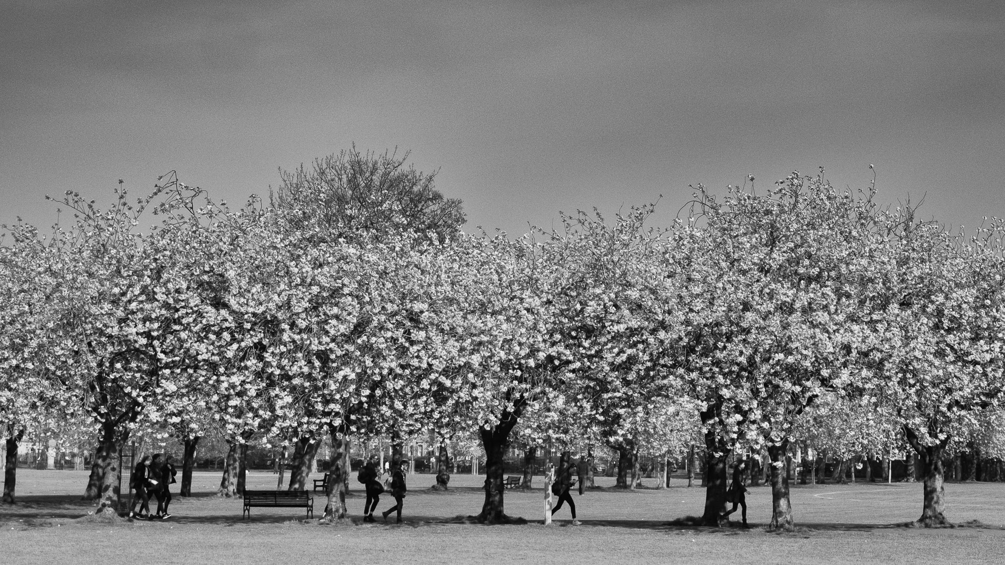 20160511-DSCF5272-Edit